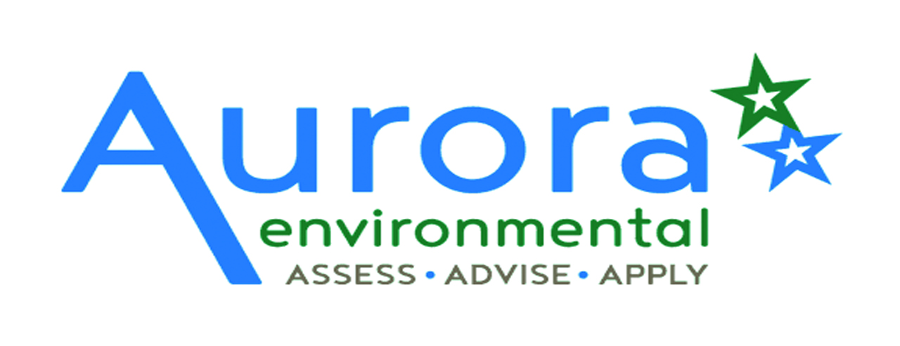 Aurora environmental